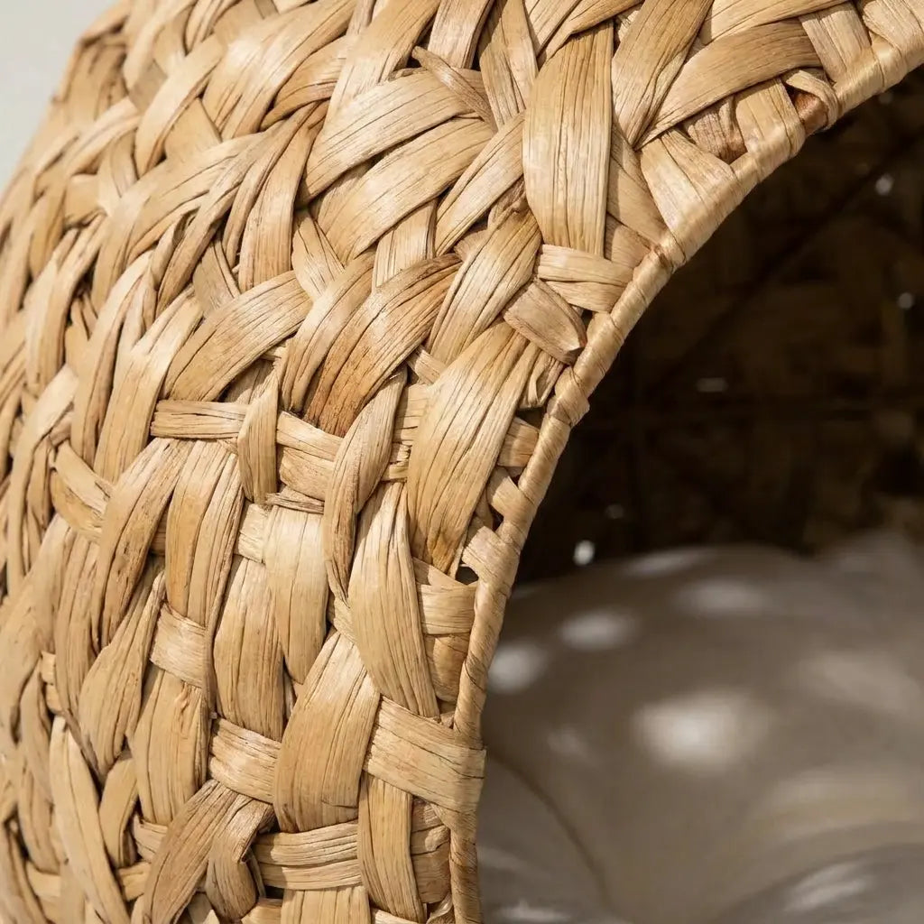 Honey Cane