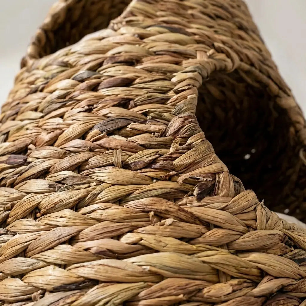 Honey Cane